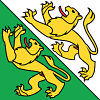 Флаг кантона Тургау