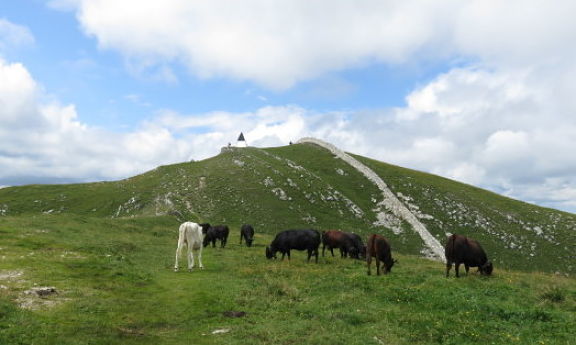 Вершина Мон-Тандр и коровые пастбище