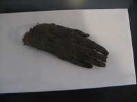 Отрубленная рука мумии