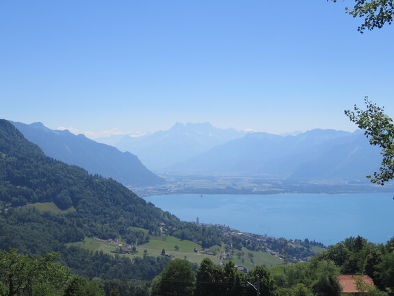 Вид на Женевское озеро и гору Дан-де-Миди