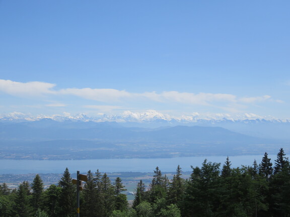 Вид на Женевское озеро и Савойские Альпы