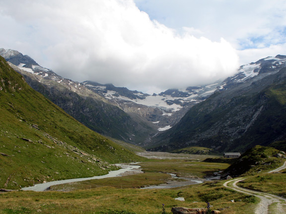 Alp Muot Selvas
