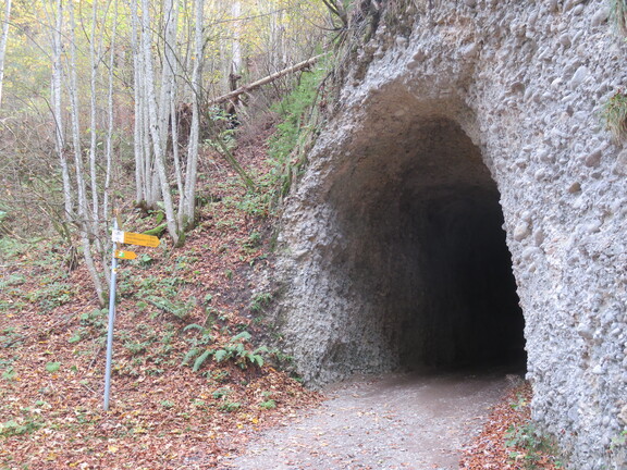 Туннель Хегенлох